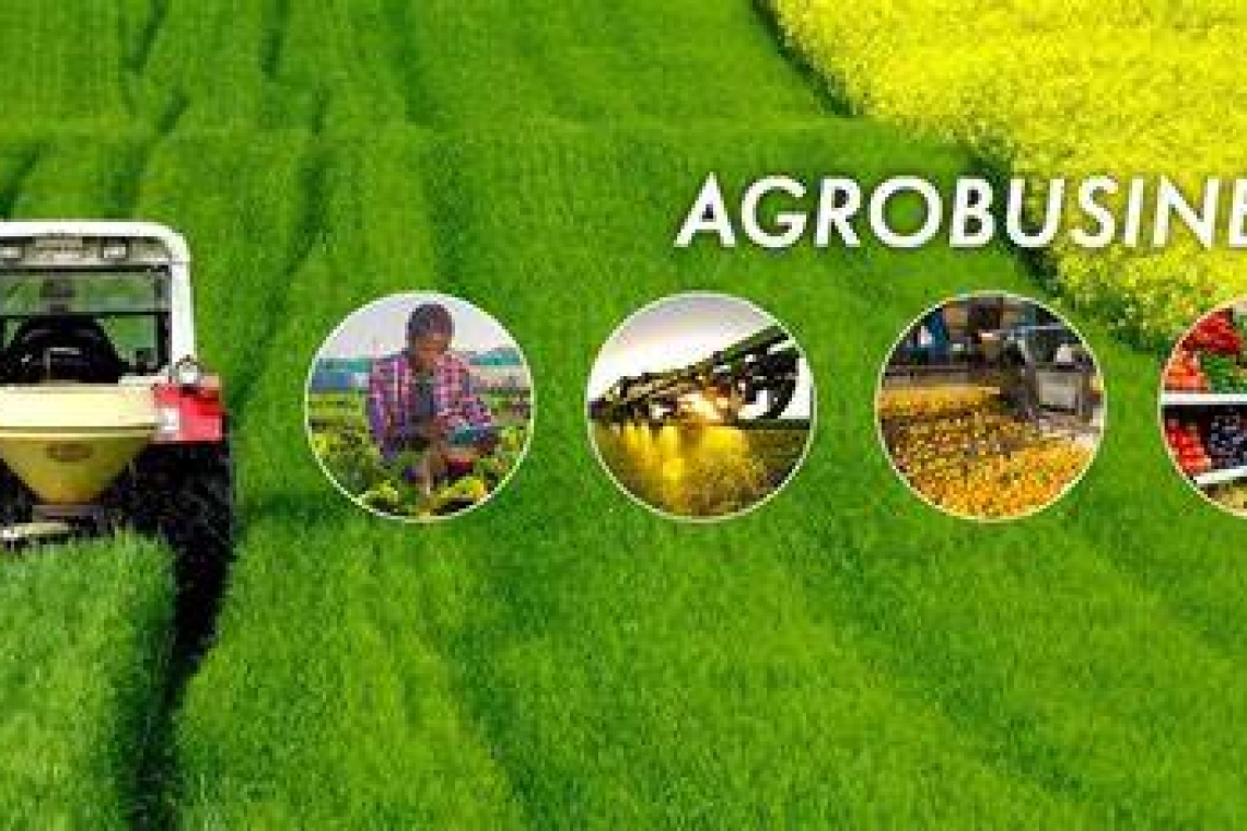 L'agriculture argentine a connu une profonde révolution technologique et agro-industrielle au cours des dernières décennies, entraînant d'importants impacts territoriaux et sociaux. Cette transformation est caractérisée par l'essor de l'agrobusiness et une réorganisation majeure du secteur agricole. Révolution technologique et nouveau paradigme productif L'agriculture argentine a connu une véritable révolution technologique, marquée par : •	L'adoption massive des OGM, notamment le soja transgénique résistant au glyphosate •	La généralisation du semis direct, permettant une meilleure conservation des sols •	L'utilisation accrue d'intrants (pesticides, fertilisants) et la mécanisation poussée Ces innovations ont conduit à une augmentation spectaculaire des rendements et de la production, faisant de l'Argentine un acteur majeur sur les marchés agricoles mondiaux. Transformation agro-industrielle Le secteur agricole argentin s'est profondément restructuré autour du modèle de l'agrobusiness : •	Verticalisation de la production et externalisation de nombreuses activités •	Émergence de nouveaux acteurs : entreprises agricoles, prestataires de services, fournisseurs d'intrants •	Dissociation entre la propriété foncière et l'exploitation agricole •	Développement de l'agriculture contractuelle et des pools de semis Cette réorganisation a favorisé la concentration des terres et l'industrialisation de l'agriculture. Impacts territoriaux et sociaux Les transformations du secteur agricole ont eu des répercussions majeures sur les territoires ruraux argentins : •	Expansion de la frontière agricole, notamment dans le nord du pays, au détriment des écosystèmes naturels •	Déplacement des petits producteurs et de l'agriculture familiale •	Dépopulation rurale et concentration urbaine •	Modification des paysages avec la prédominance des monocultures intensives •	Impacts environnementaux : déforestation, perte de biodiversité, pollution des sols et des eaux Enjeux et défis Cette révolution agricole soulève de nombreux défis pour l'Argentine : •	Durabilité environnementale face à l'intensification des pratiques •	Préservation de l'agriculture familiale et des communautés rurales •	Dépendance accrue aux marchés internationaux et aux fluctuations des cours des matières premières •	Nécessité de diversifier la production agricole au-delà du modèle soja-centré L'avenir de l'agriculture argentine se jouera dans sa capacité à concilier performance économique, durabilité environnementale et équité sociale, tout en préservant la diversité des modèles agricoles.